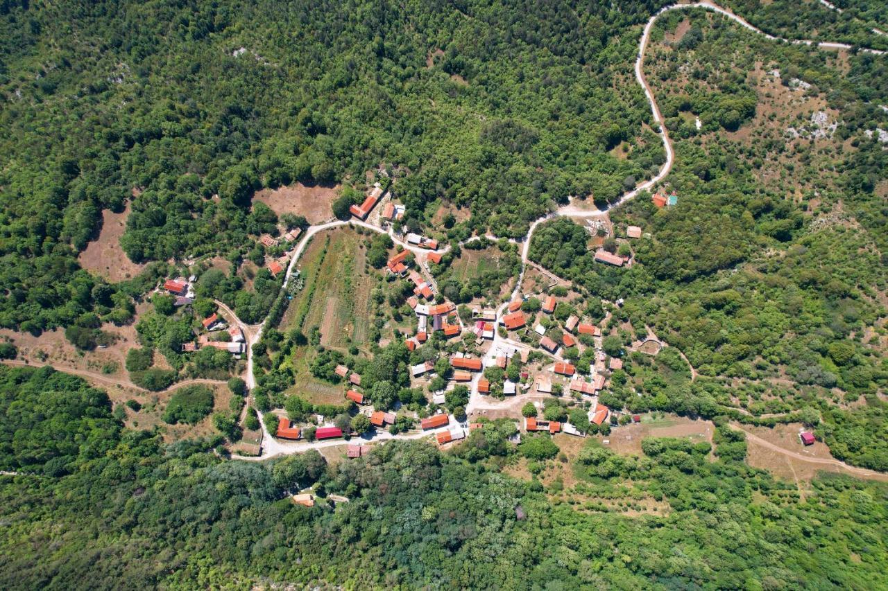 Villa Vrhi Cicarije - Brgudac, Opatija With Free Parking Exterior foto